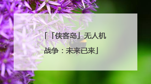 「侠客岛」无人机战争：未来已来